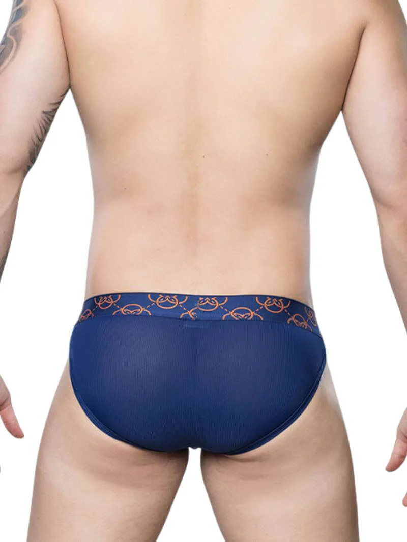 2eros Himeros Brief: Sheer Mesh Panels + CURV Lifting Pouch - Image 4