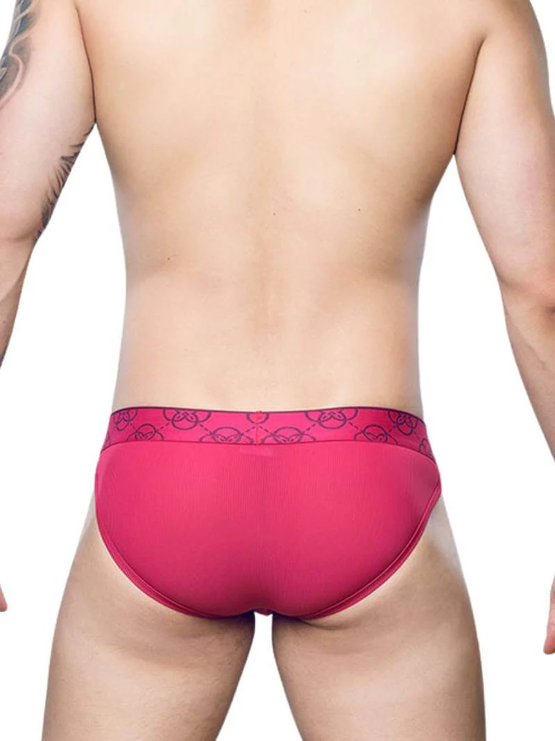 2eros Himeros Brief: Sheer Mesh Panels + CURV Lifting Pouch - Image 7