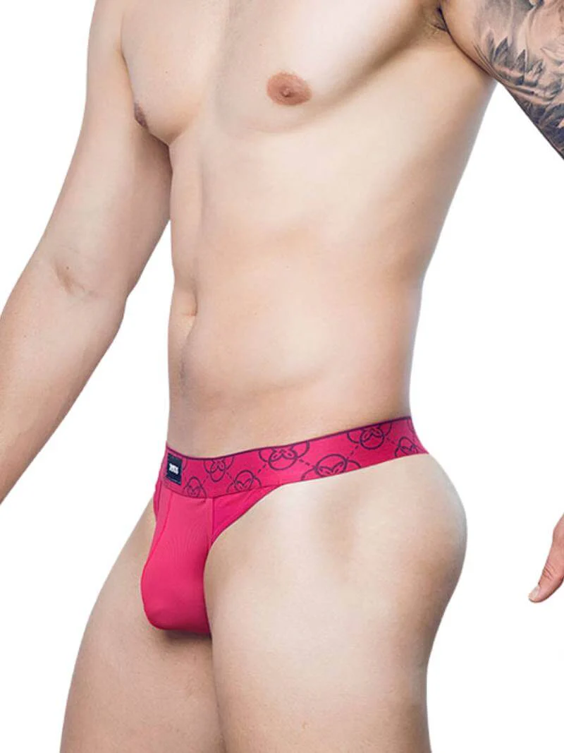 2eros Himeros Thong: Sexy Sheer Mesh + CURV Lifting Pouch - Image 3