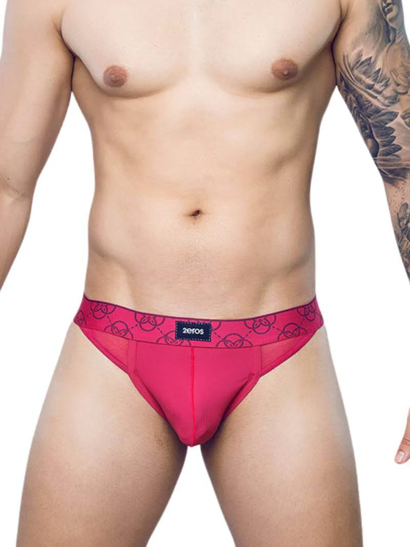 2eros Himeros Thong: Sexy Sheer Mesh + CURV Lifting Pouch - Image 5