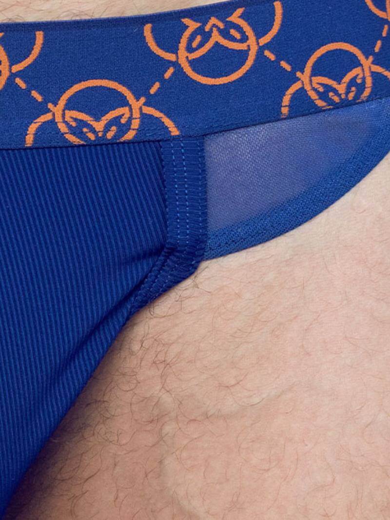 2eros Himeros Thong: Sexy Sheer Mesh + CURV Lifting Pouch - Image 6