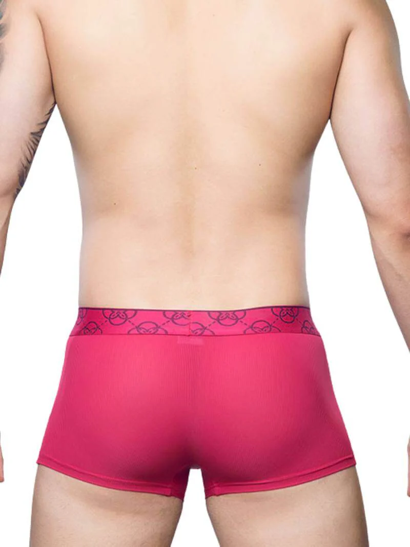 2eros Himeros Trunk: Sheer Mesh Panels + CURV Lifting Pouch - Image 3