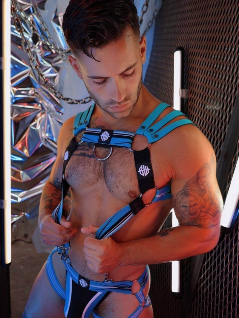 Breedwell Circuit Breaker Body Harness - Image 3