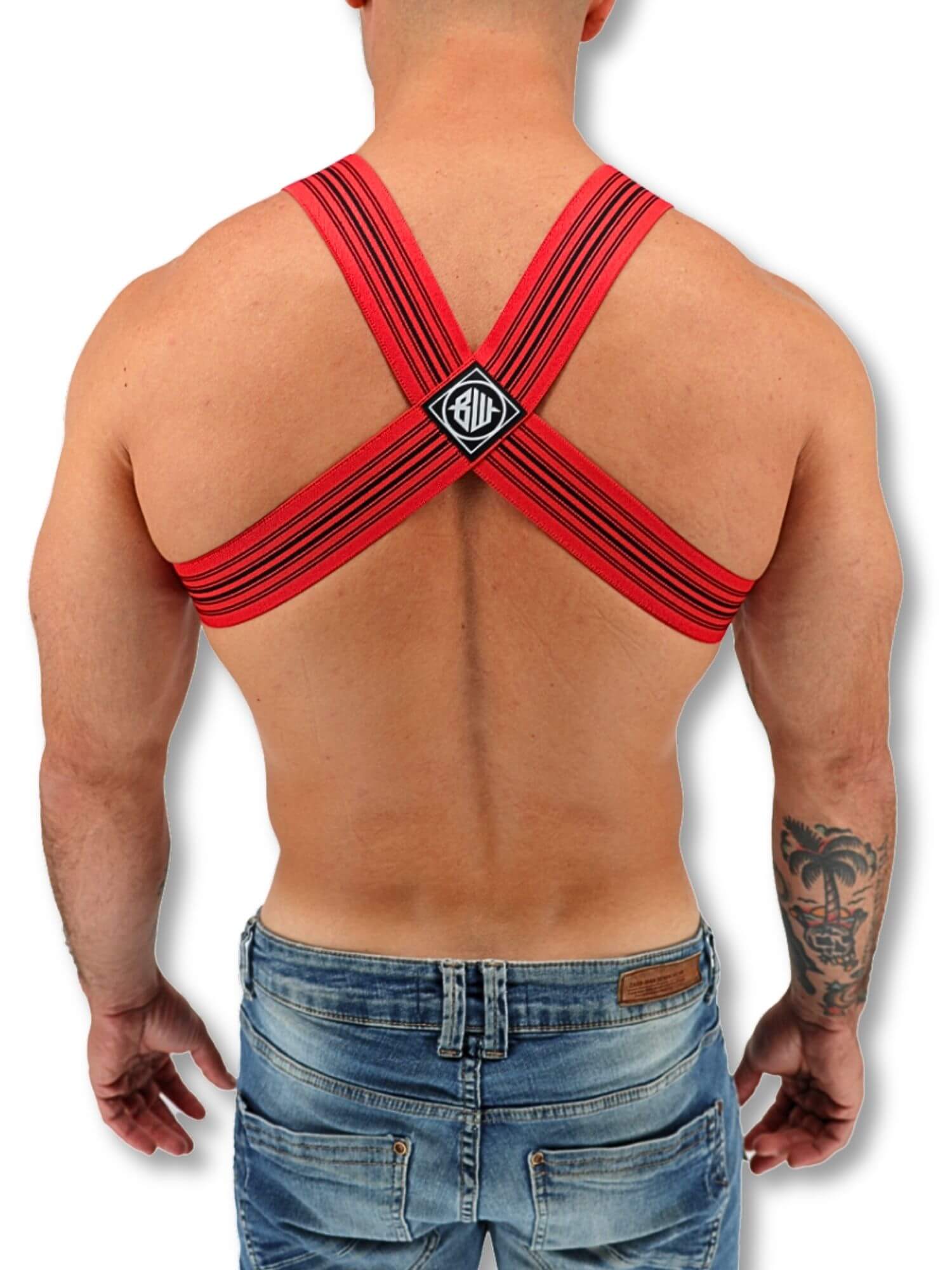 Breedwell Cumdump Bulldog Harness - Mens Clubwear Chest Harness - Image 10