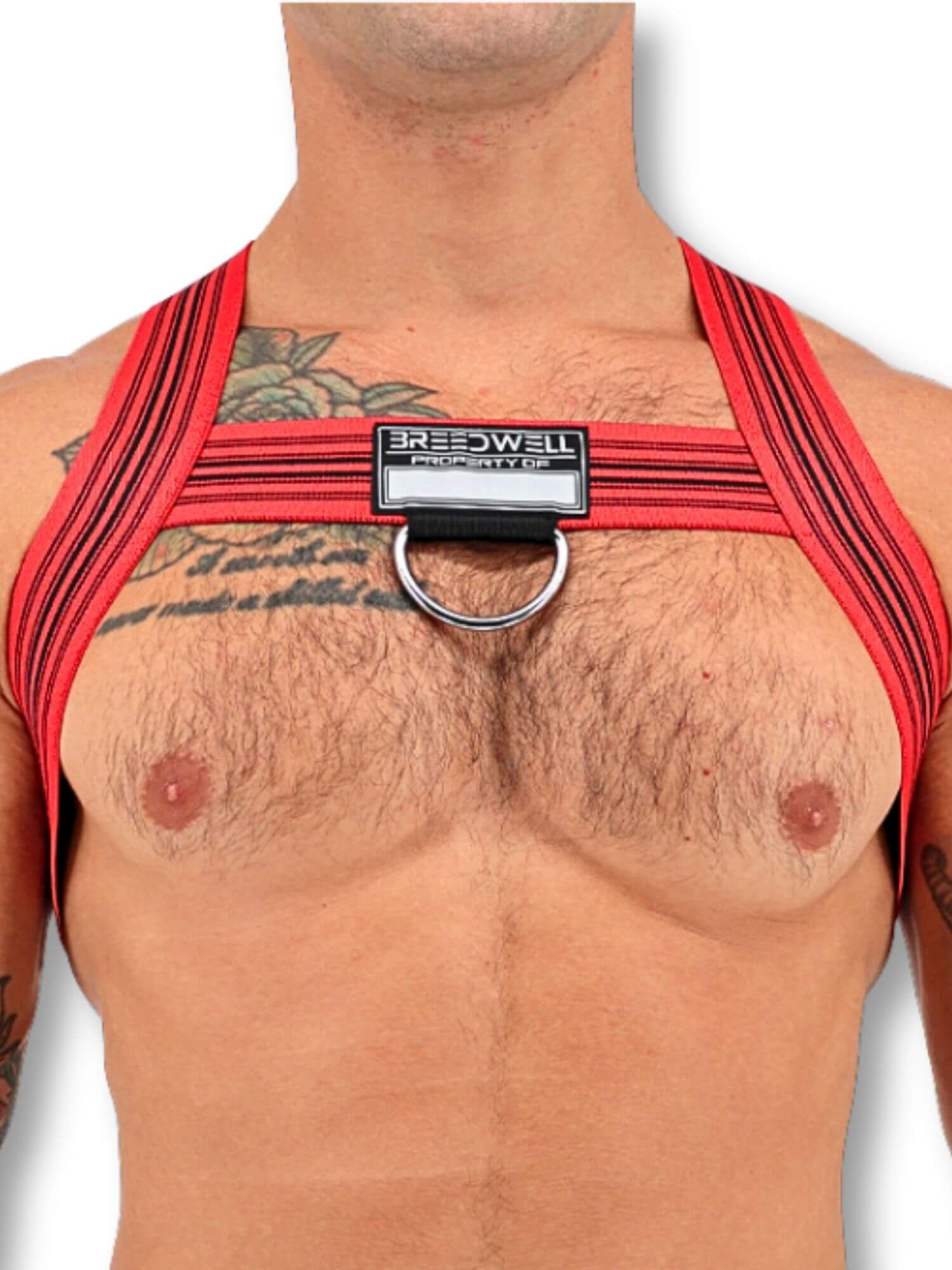 Breedwell Cumdump Bulldog Harness - Mens Clubwear Chest Harness - Image 11