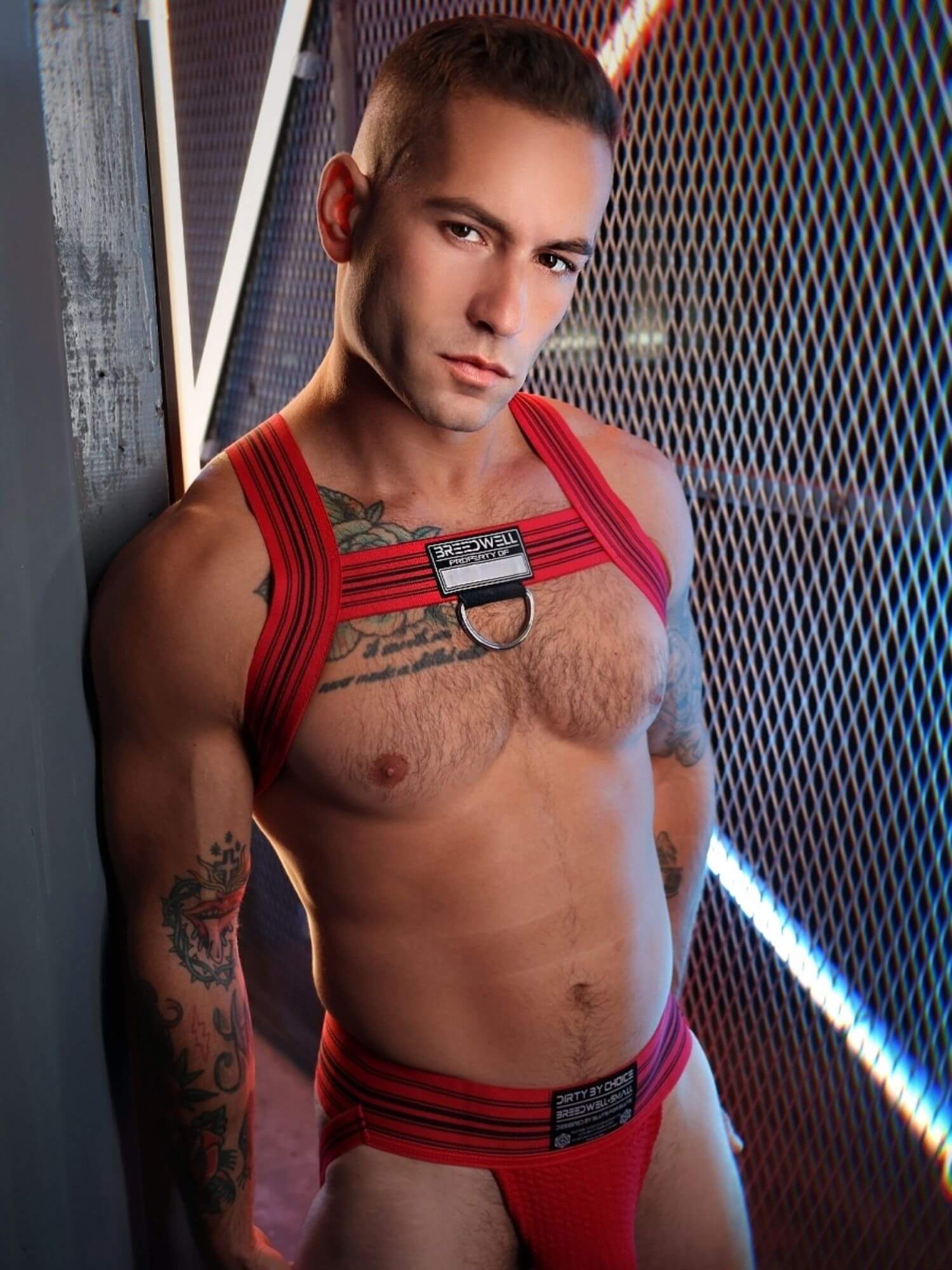 Breedwell Cumdump Bulldog Harness - Mens Clubwear Chest Harness - Image 7