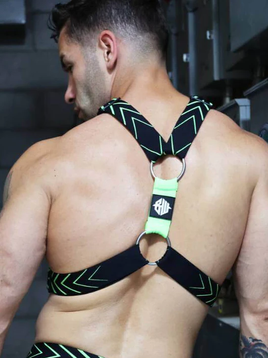 Breedwell Dickmatized Harness - Image 4