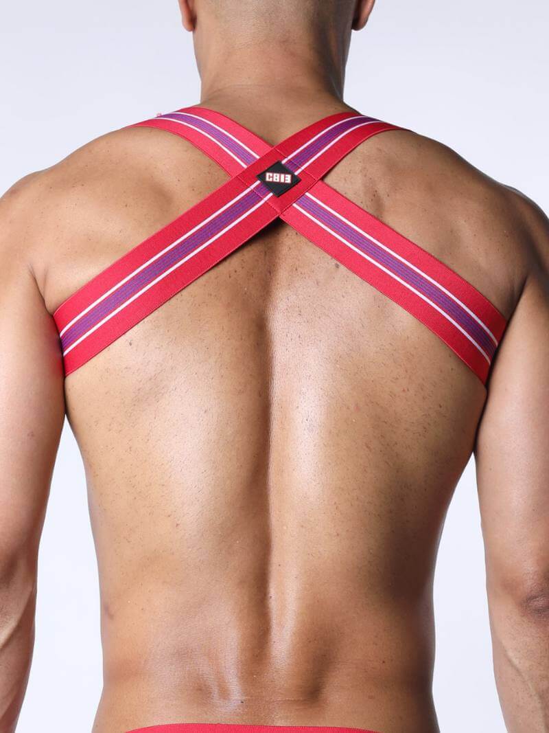 CellBlock13 Tight End Elasticated Striped Chest Harness - Image 12