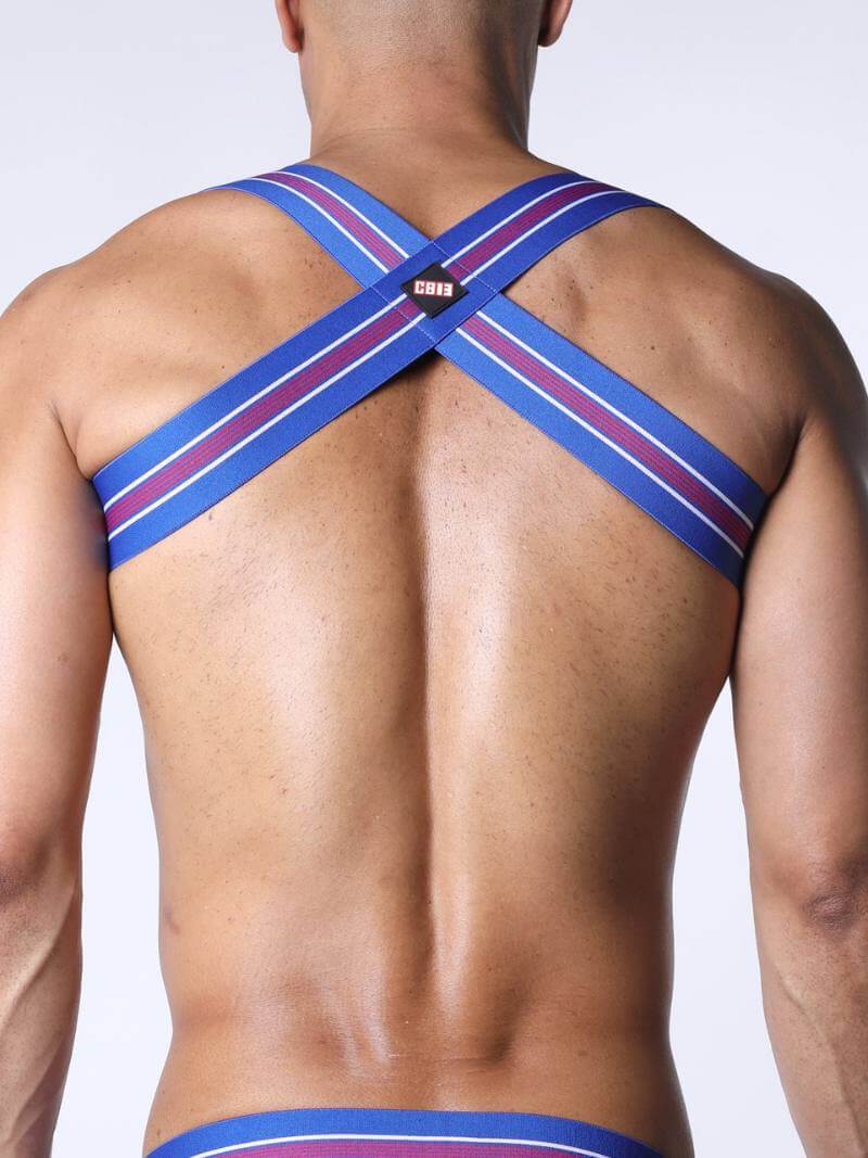 CellBlock13 Tight End Elasticated Striped Chest Harness - Image 2