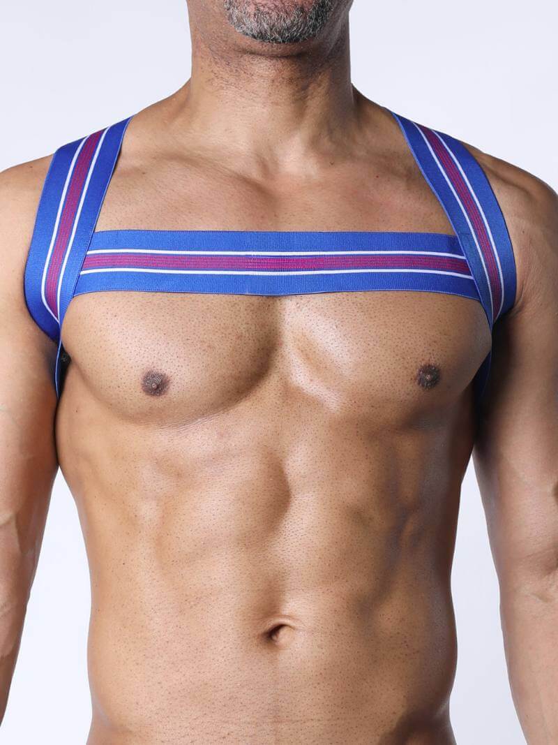 CellBlock13 Tight End Elasticated Striped Chest Harness - Image 3