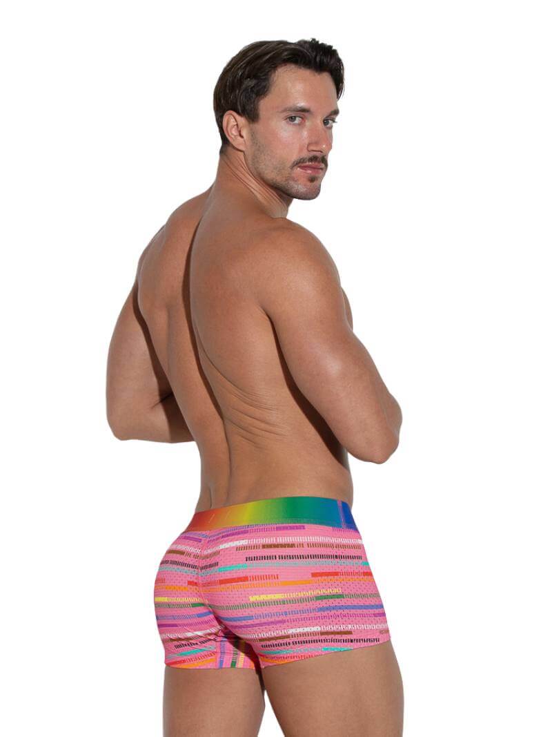 CODE 22 Pride Striped Mesh Trunk - Image 3