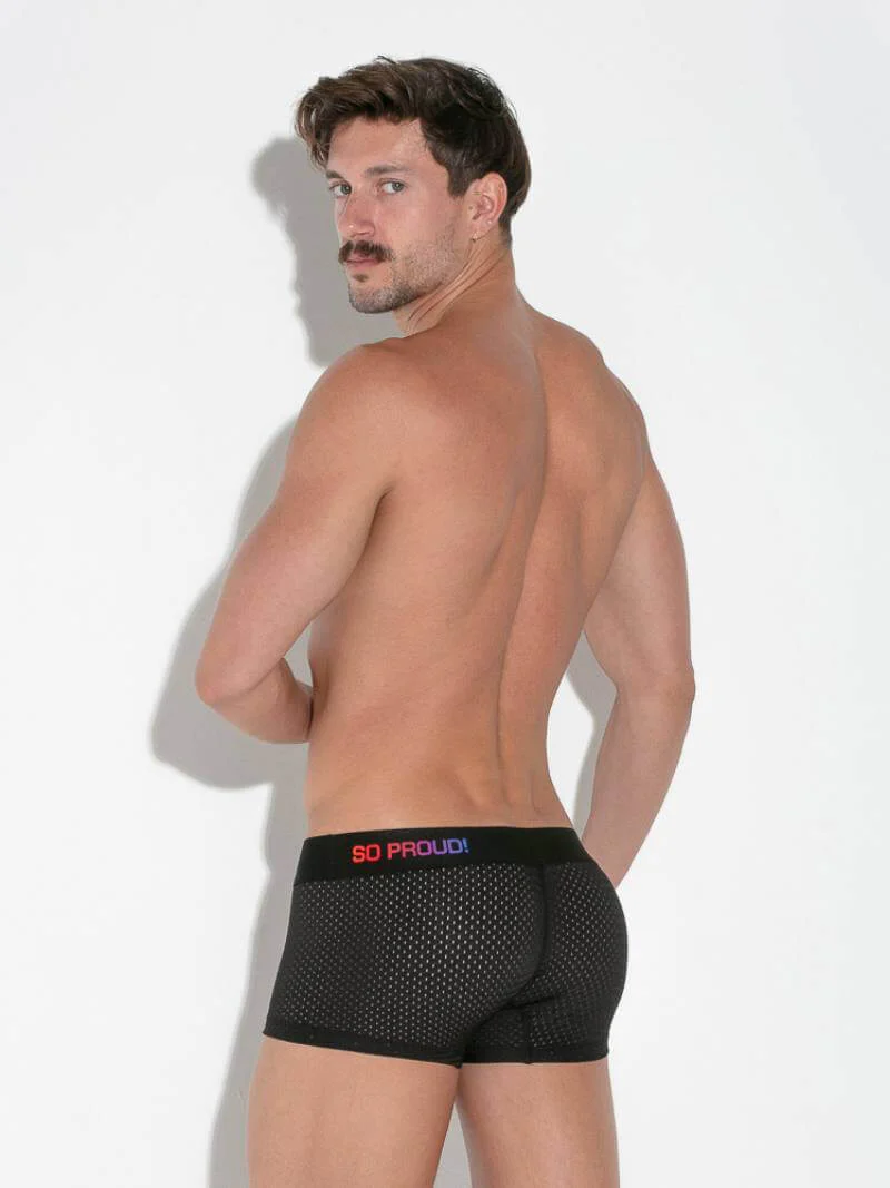 CODE22 Pride Mesh Trunk - Image 8