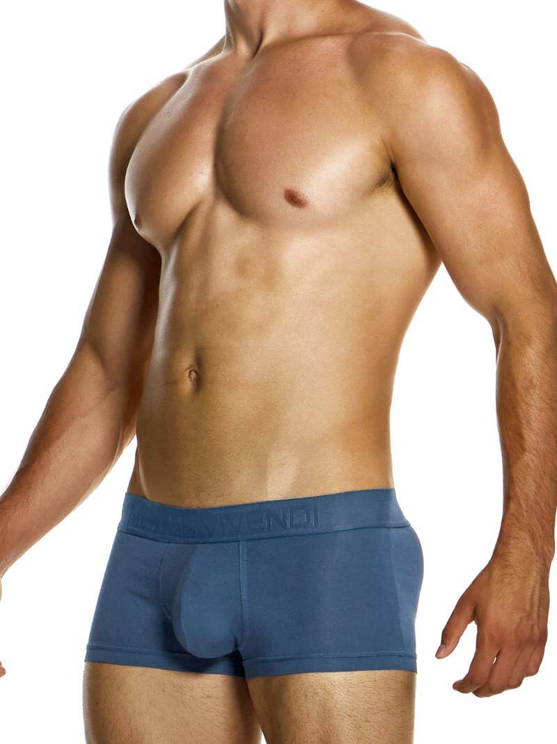 MODUS VIVENDI Bamboo Boxer - Image 3