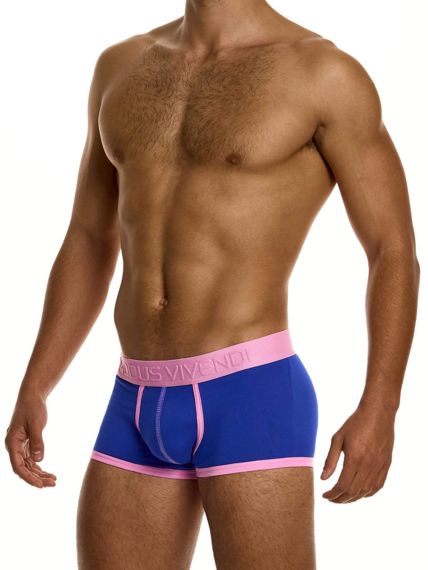 MODUS VIVENDI Dynamic Classic Boxer – Retro Sport Low-Rise Cotton Stretch Boxer Trunk - Image 3