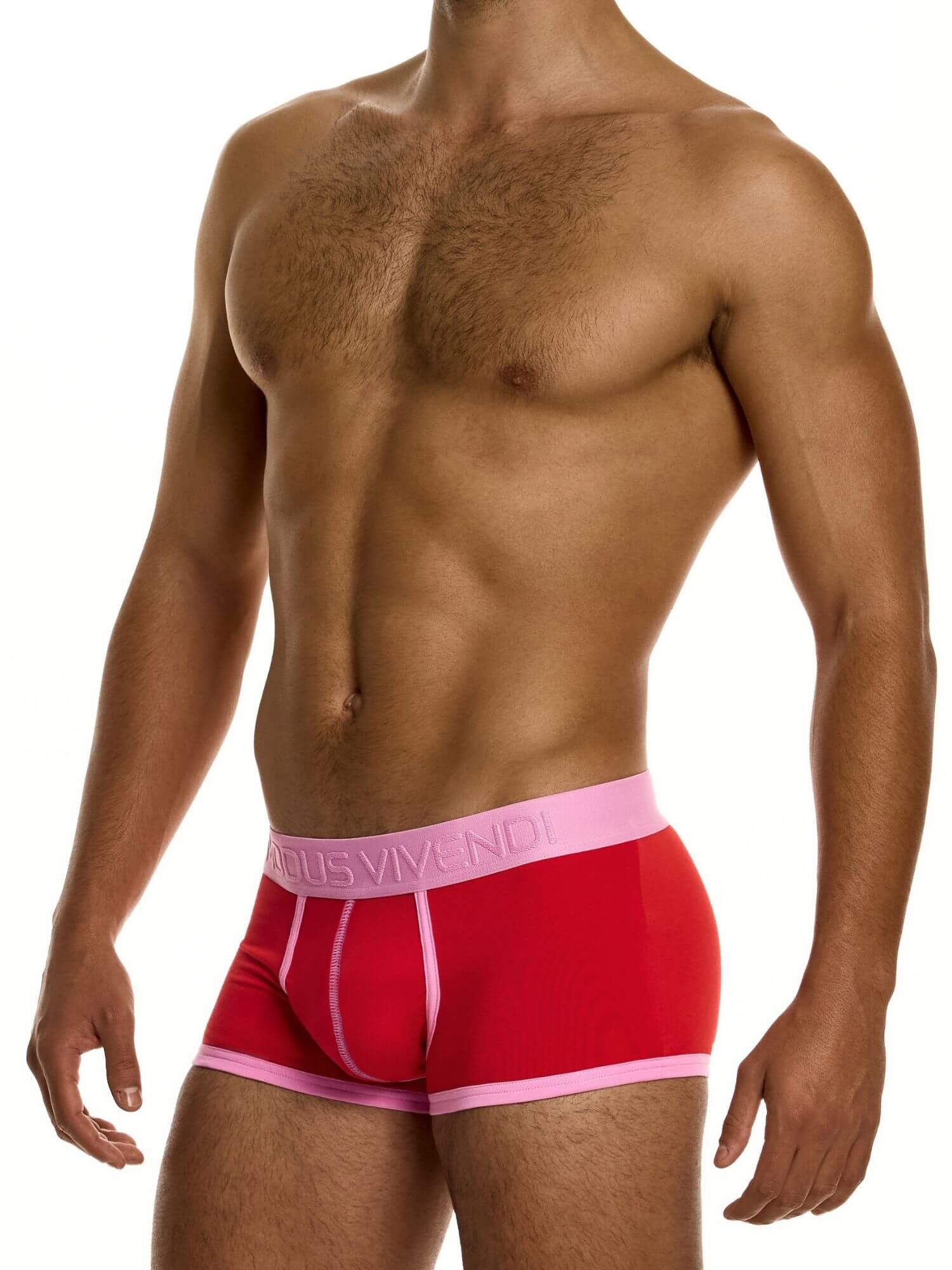 MODUS VIVENDI Dynamic Classic Boxer – Retro Sport Low-Rise Cotton Stretch Boxer Trunk - Image 6
