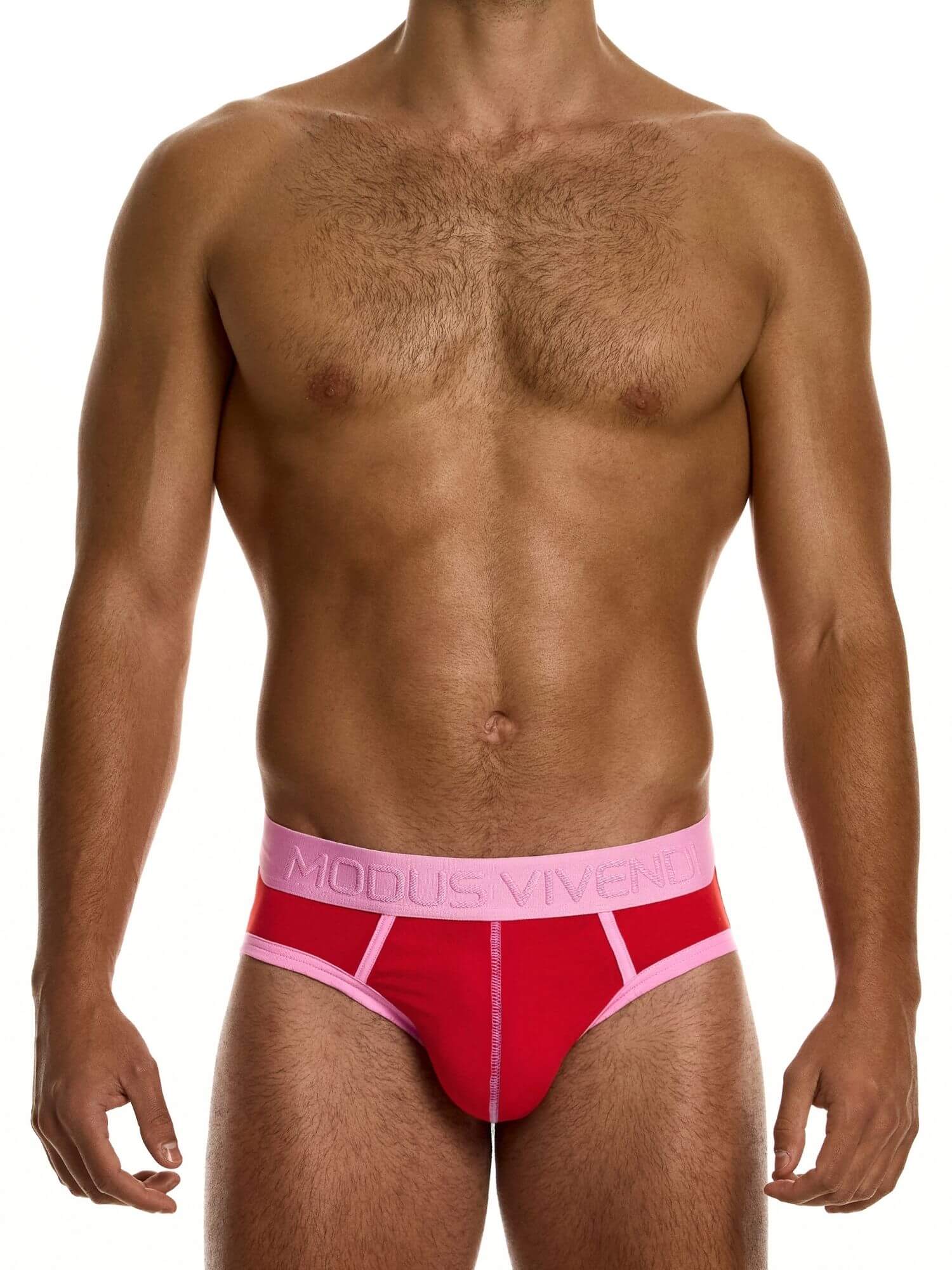 MODUS VIVENDI Dynamic Classic Brief – Retro Sport Low-Rise Cotton Stretch Underwear - Image 2