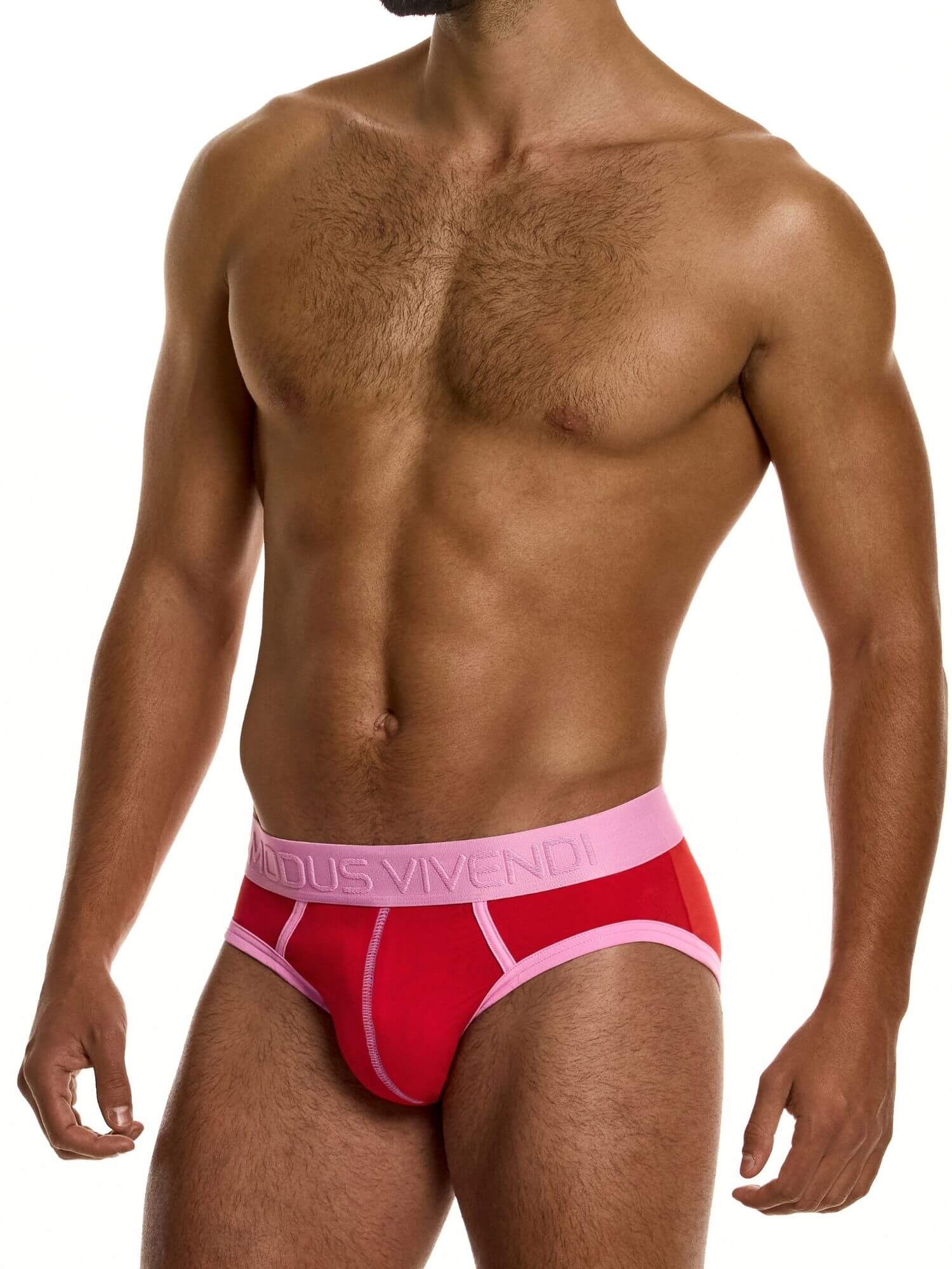 MODUS VIVENDI Dynamic Classic Brief – Retro Sport Low-Rise Cotton Stretch Underwear - Image 3