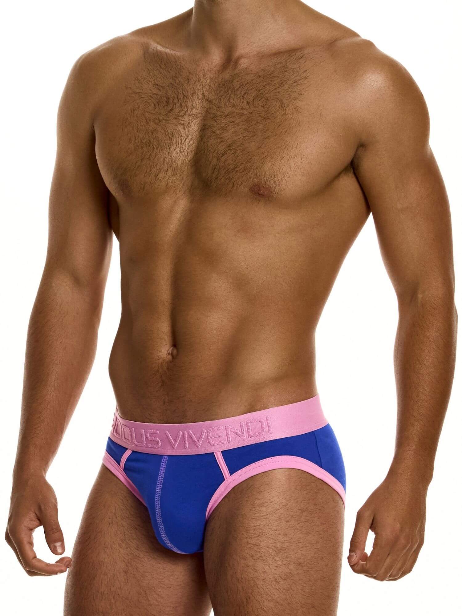 MODUS VIVENDI Dynamic Classic Brief – Retro Sport Low-Rise Cotton Stretch Underwear - Image 6