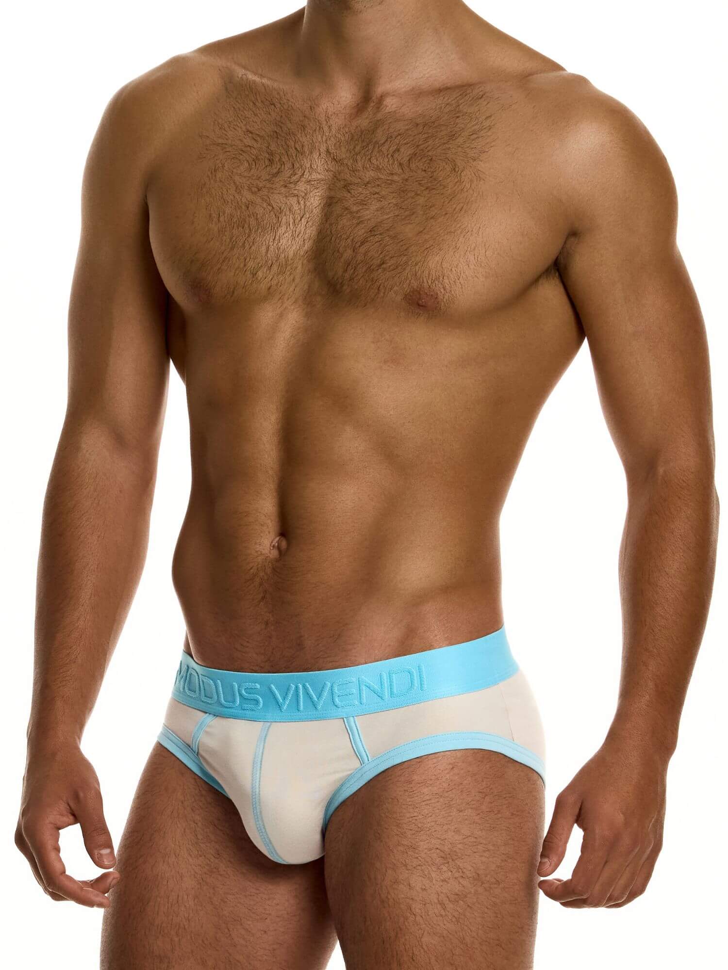 MODUS VIVENDI Dynamic Classic Brief – Retro Sport Low-Rise Cotton Stretch Underwear - Image 8