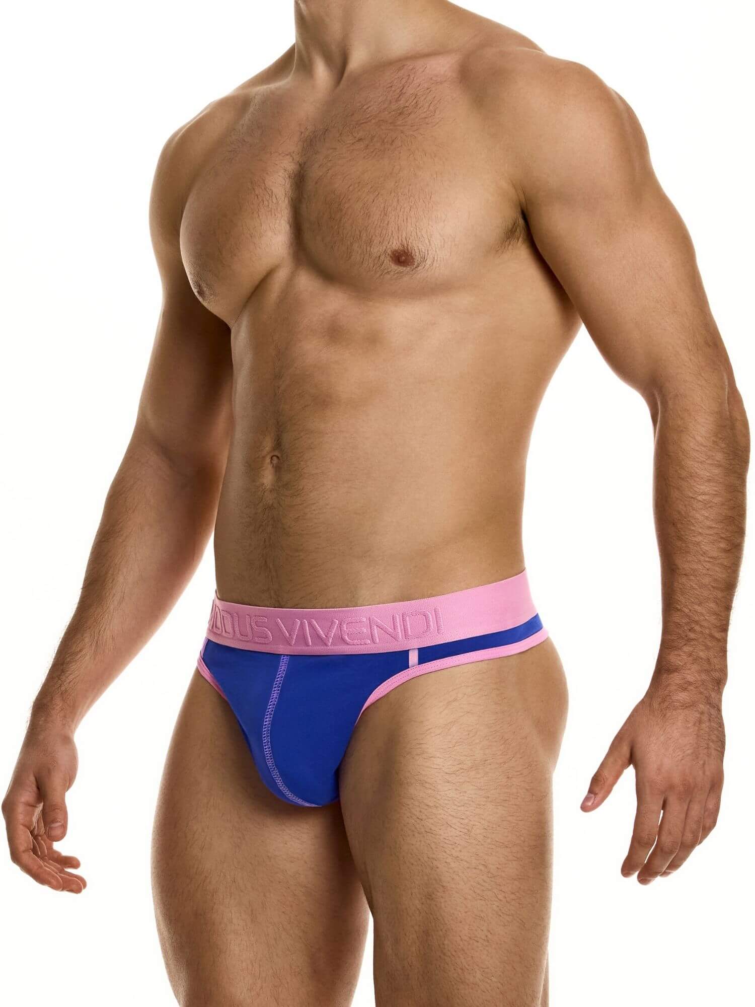 MODUS VIVENDI Dynamic Thong – Retro Sport Low-Rise Cotton Stretch Underwear - Image 3