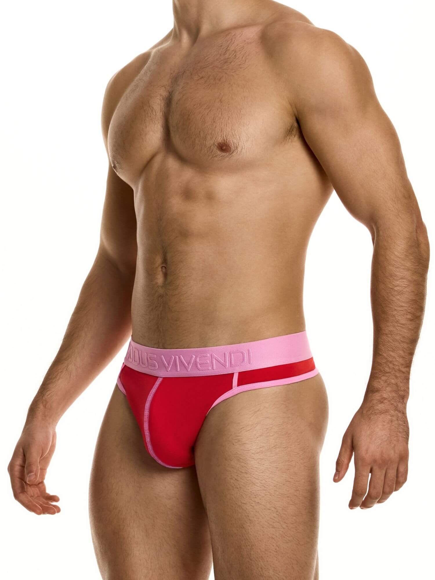MODUS VIVENDI Dynamic Thong – Retro Sport Low-Rise Cotton Stretch Underwear - Image 5