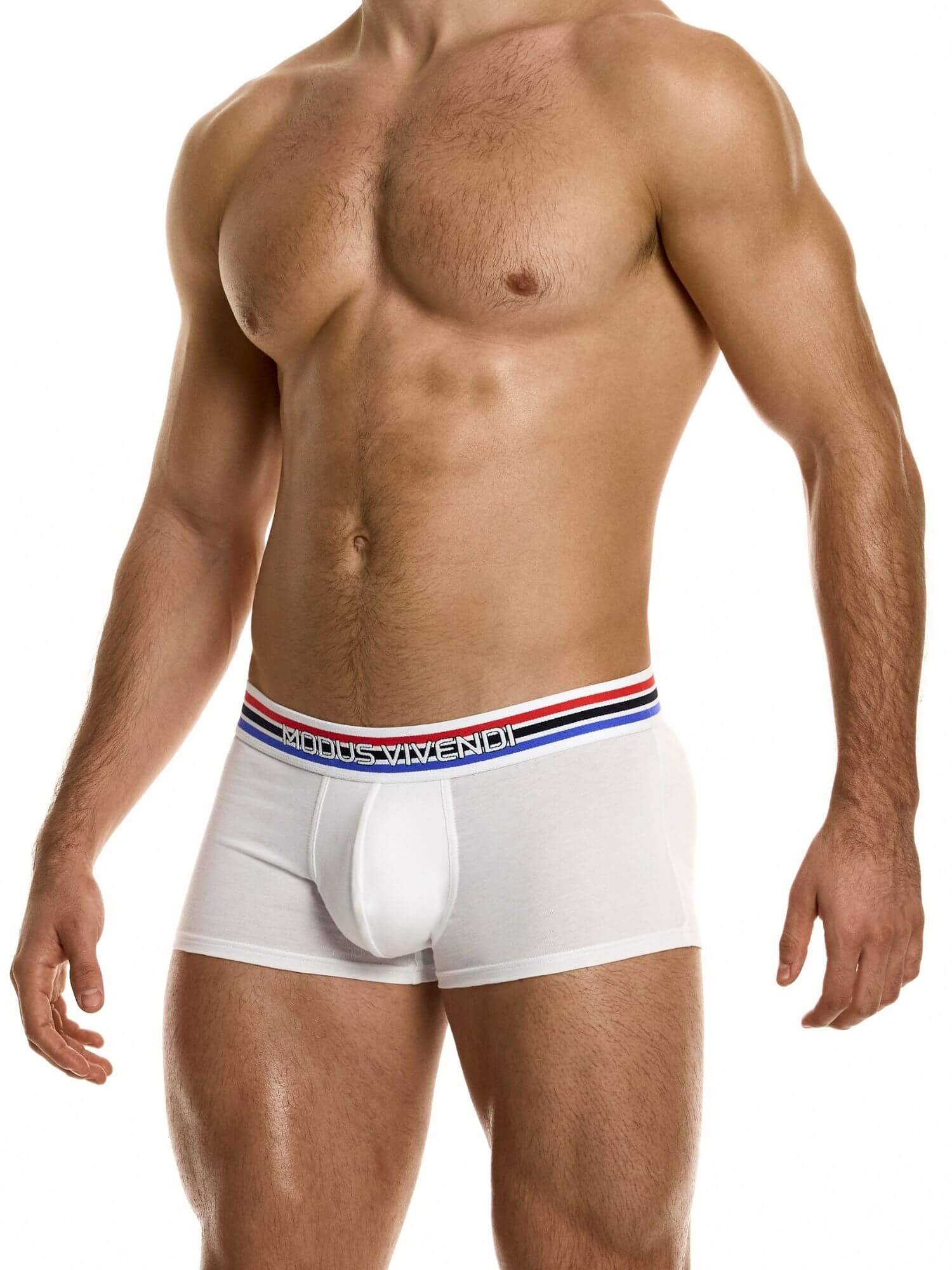 MODUS VIVENDI Heritage Boxer - Image 10