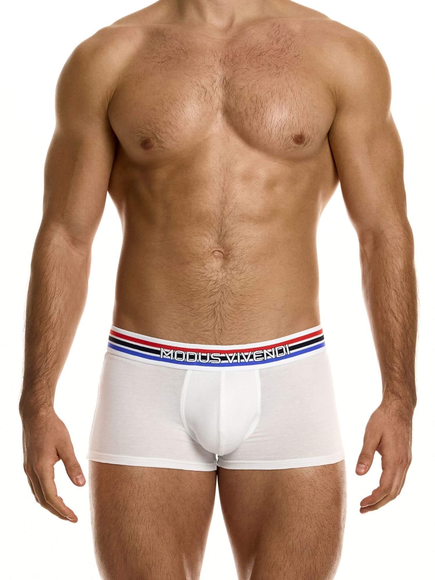 MODUS VIVENDI Heritage Boxer - Image 9