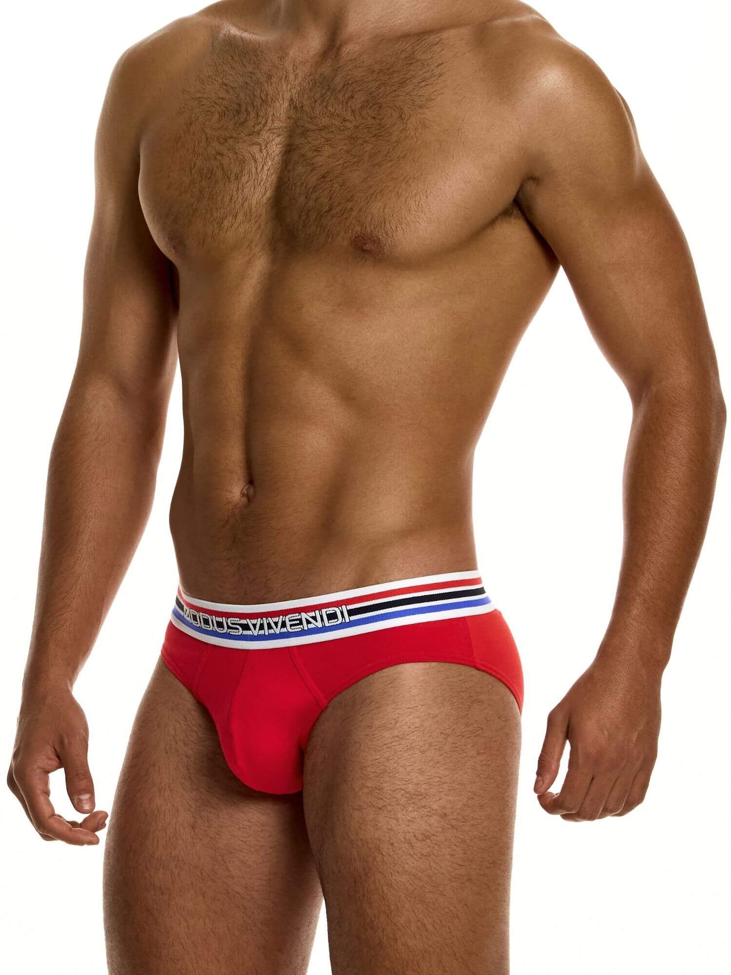 MODUS VIVENDI Heritage Classic Brief - Image 3