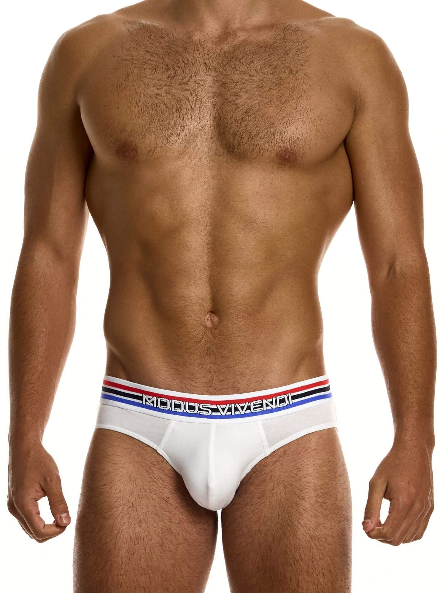 MODUS VIVENDI Heritage Classic Brief - Image 6