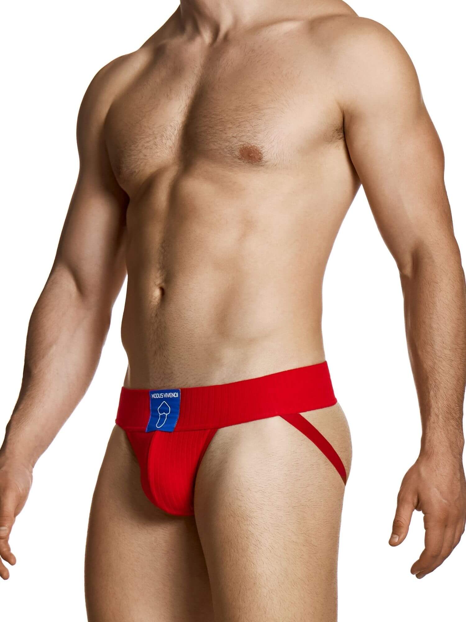 MODUS VIVENDI Heritage Ultra Jockstrap - Image 13
