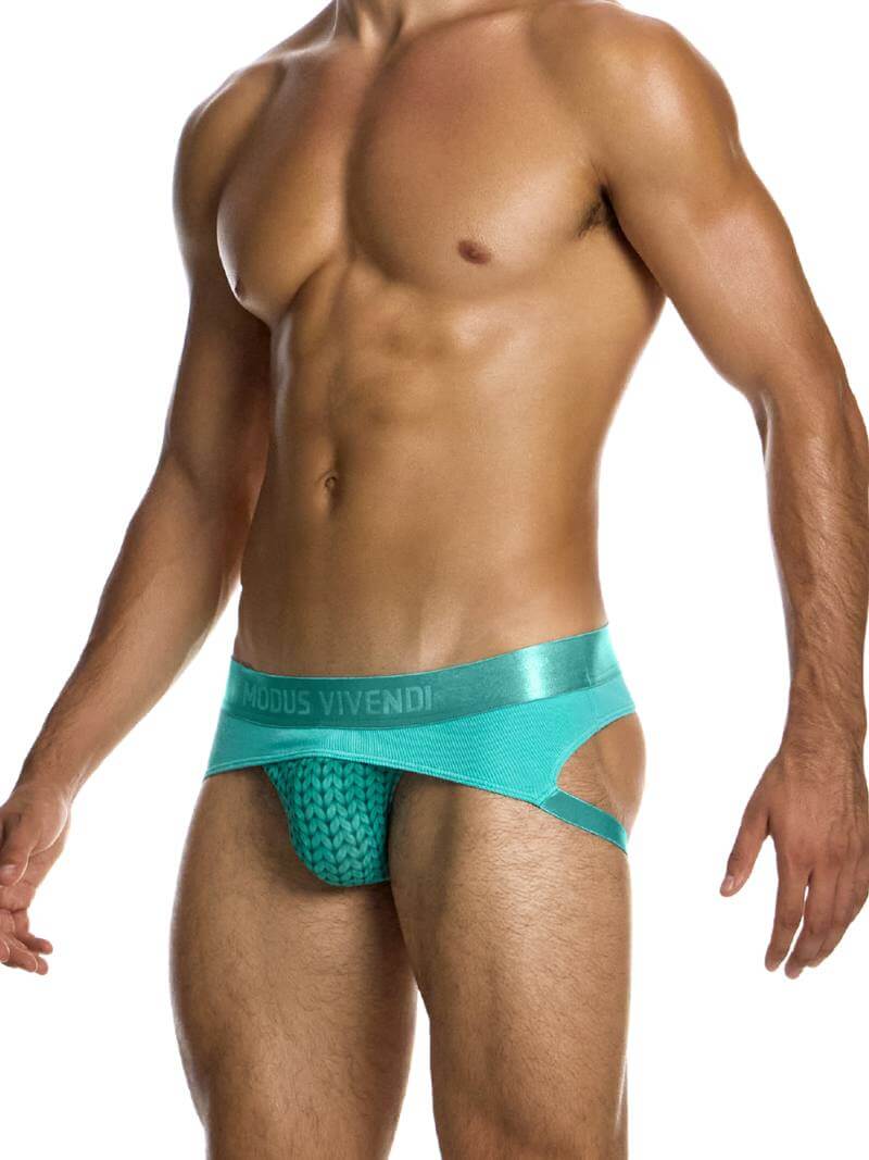 MODUS VIVENDI Illusion Sheer Jockstrap - Image 2