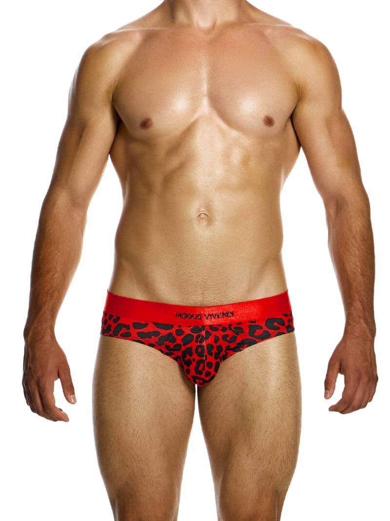 MODUS VIVENDI Leopard Classic Brief - Image 2