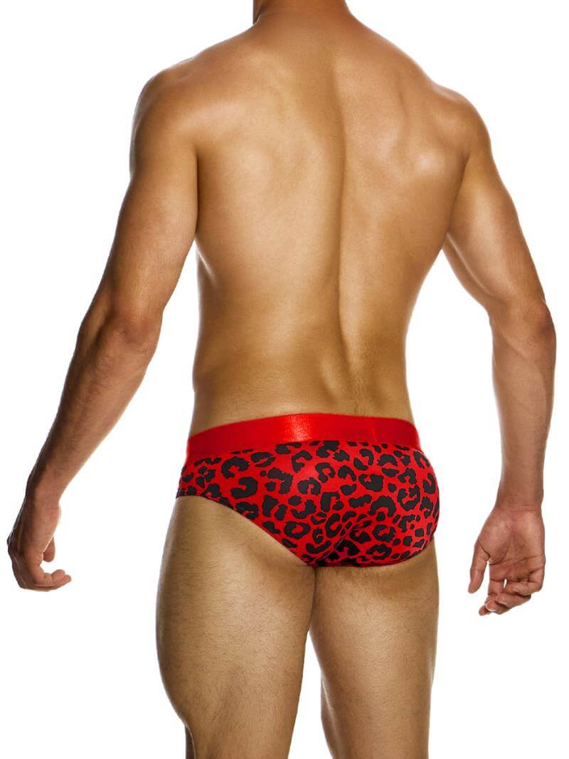 MODUS VIVENDI Leopard Classic Brief - Image 4