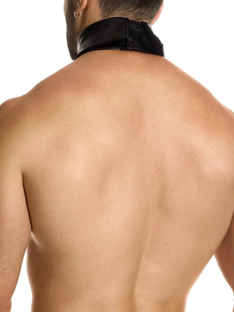MODUS VIVENDI Prince Albert Leather Choker Collar - Image 3