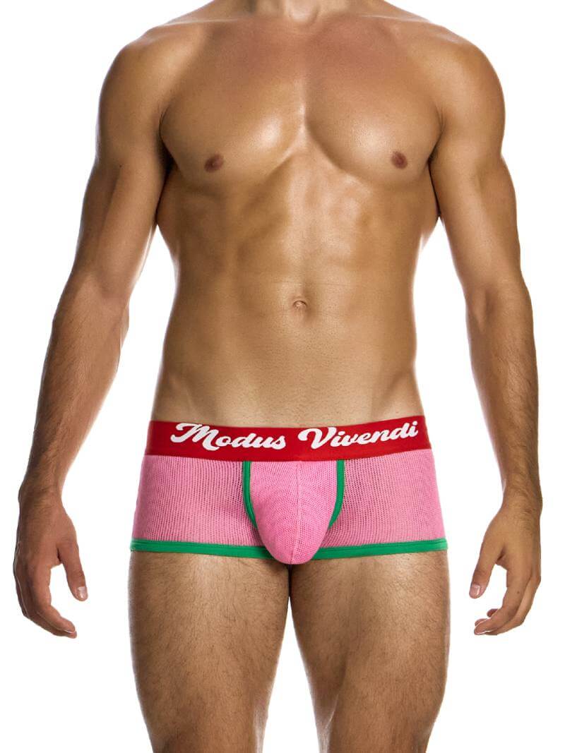 MODUS VIVENDI Retro Boxer Trunk - Image 2