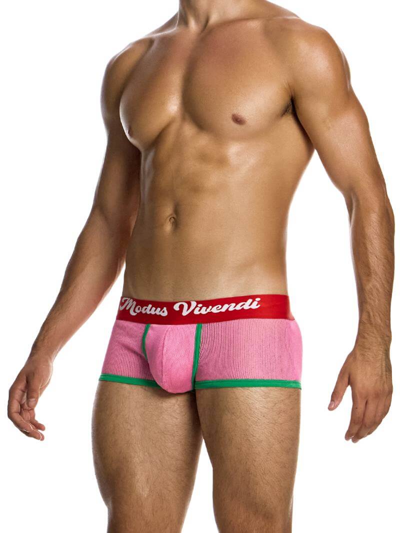 MODUS VIVENDI Retro Boxer Trunk - Image 4