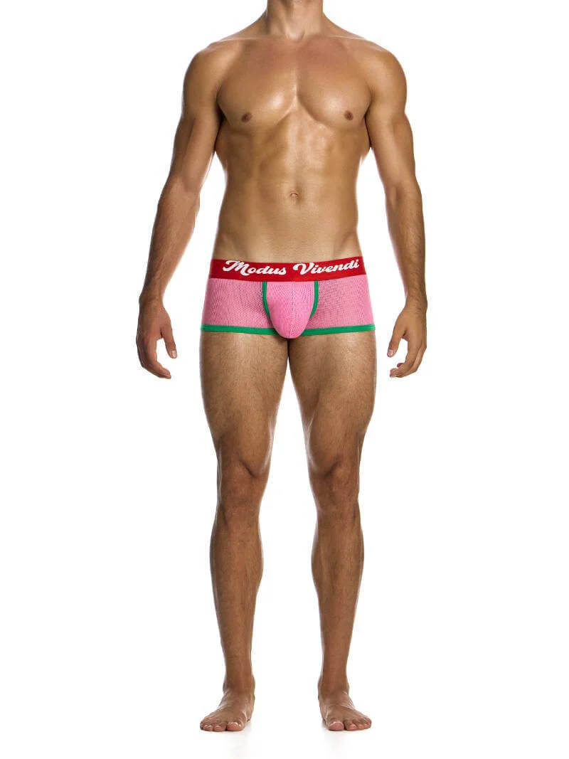 MODUS VIVENDI Retro Boxer Trunk - Image 5