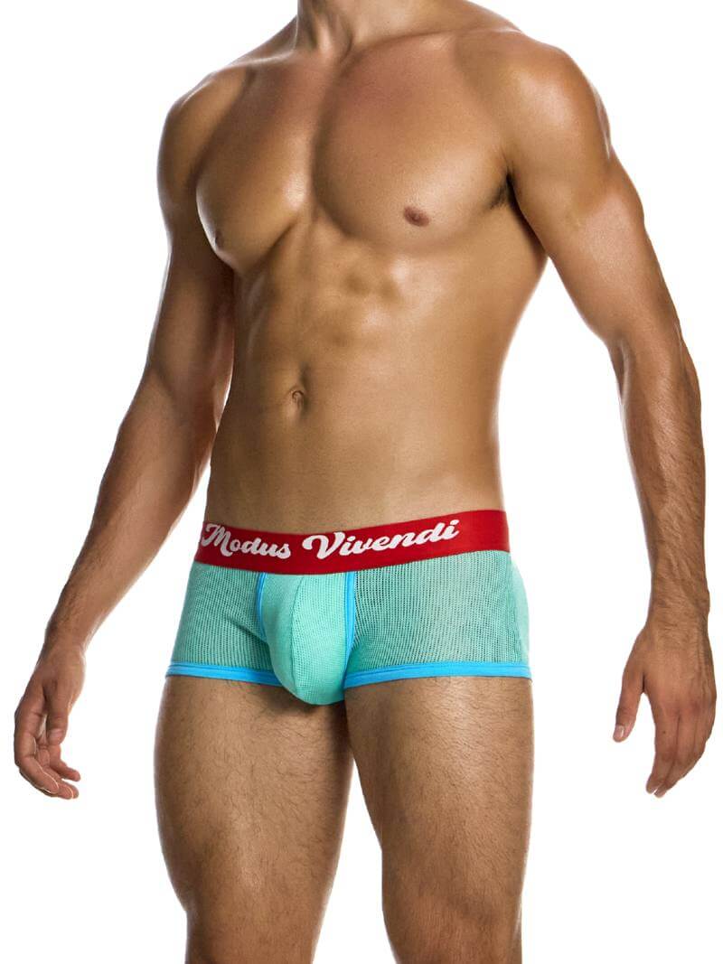 MODUS VIVENDI Retro Boxer Trunk - Image 9