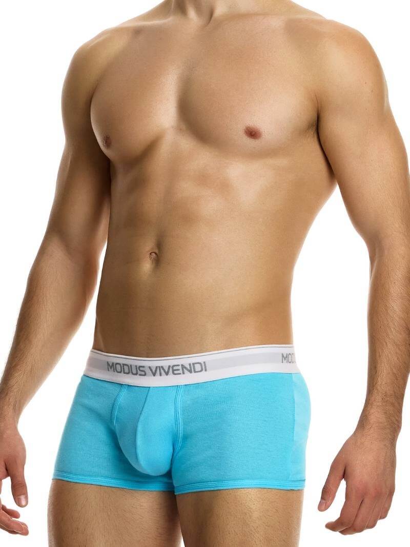 MODUS VIVENDI Staple Eco-Cotton Boxer - Image 2