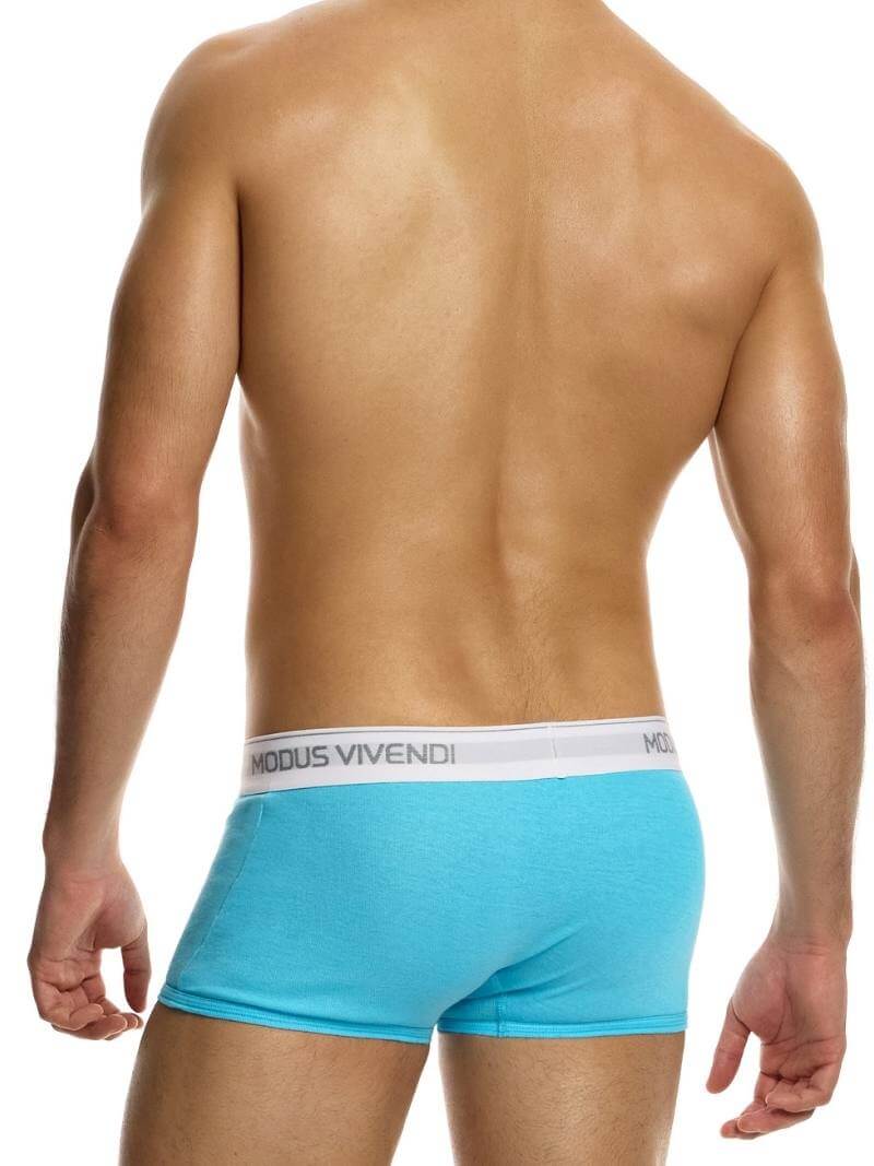 MODUS VIVENDI Staple Eco-Cotton Boxer - Image 3