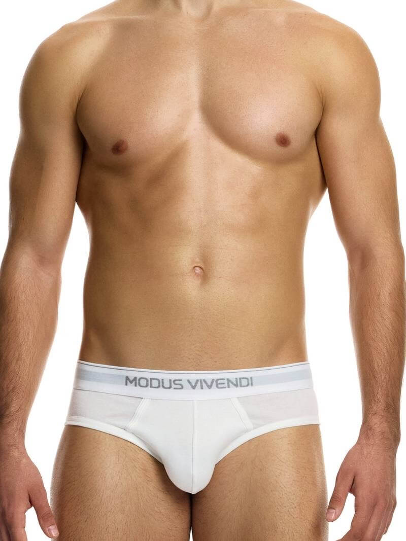 MODUS VIVENDI Staple Eco-Cotton Brief - SIZE 2XL - Image 2