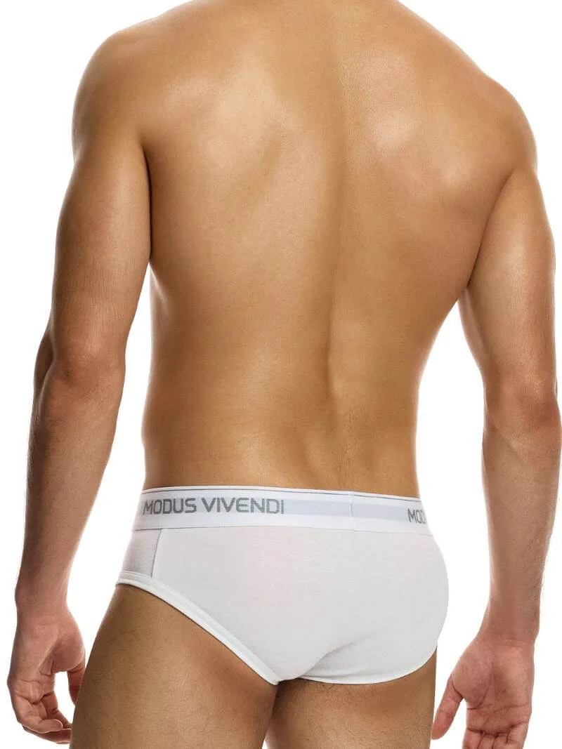 MODUS VIVENDI Staple Eco-Cotton Brief - SIZE 2XL - Image 3