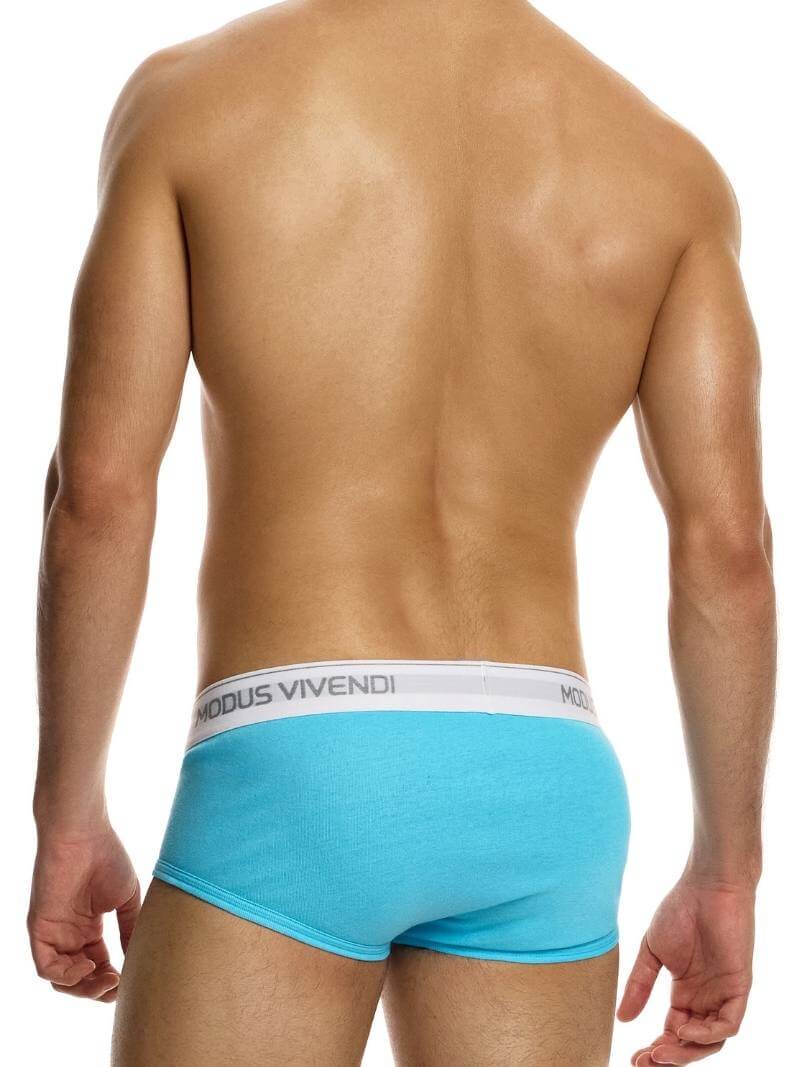 MODUS VIVENDI Staple Eco-Cotton Fly Brief - Image 5