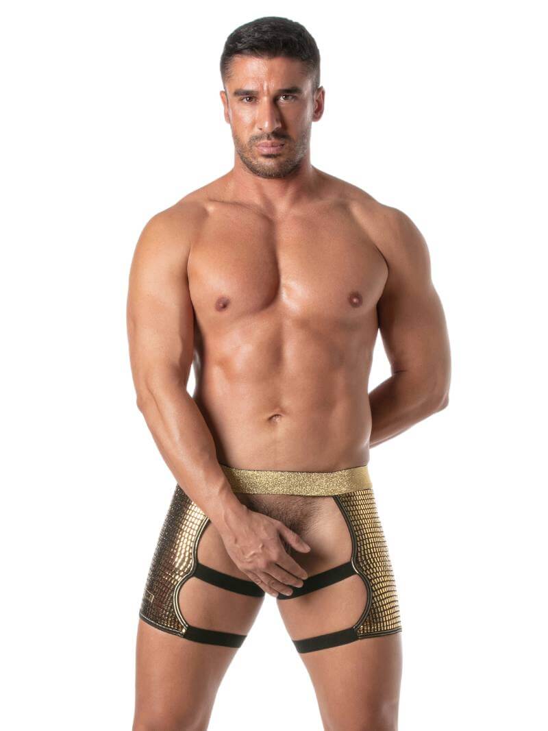 TOF Paris Glitter Shorty Chaps - Image 11