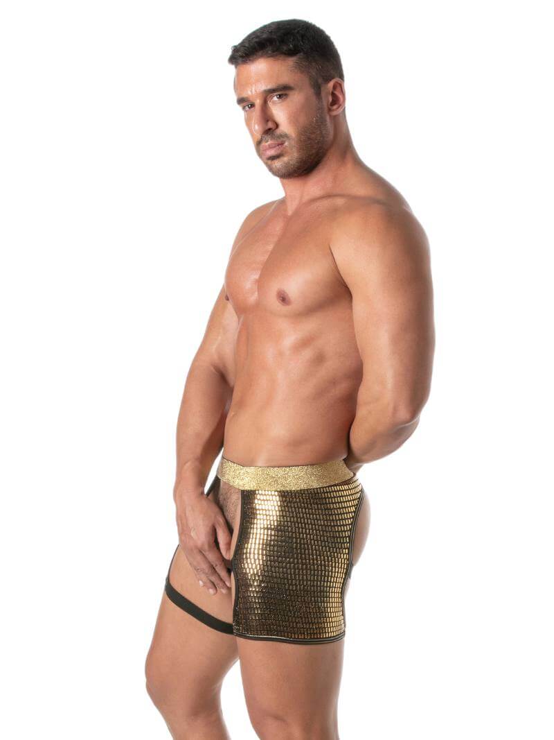 TOF Paris Glitter Shorty Chaps - Image 9