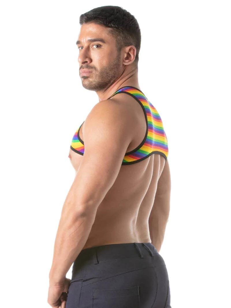 TOF Paris Rainbow Striped Cropped Top - Image 4