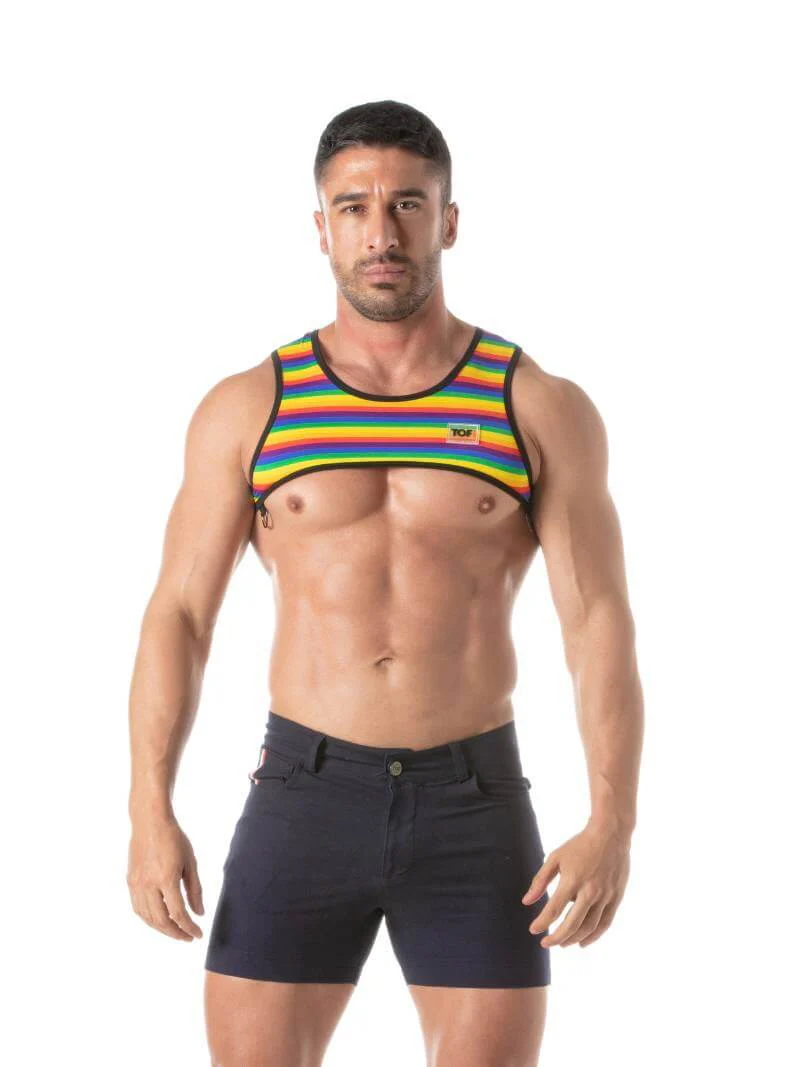 TOF Paris Rainbow Striped Cropped Top - Image 5